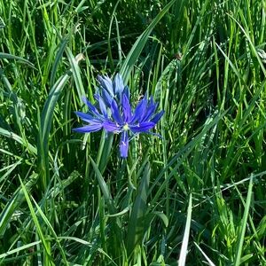 Meet your Posher, Cynthia